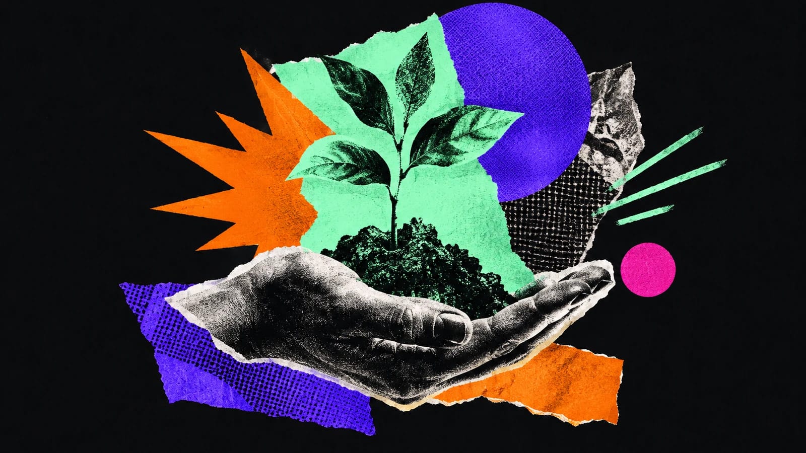 Ilustración editorial para Solvera