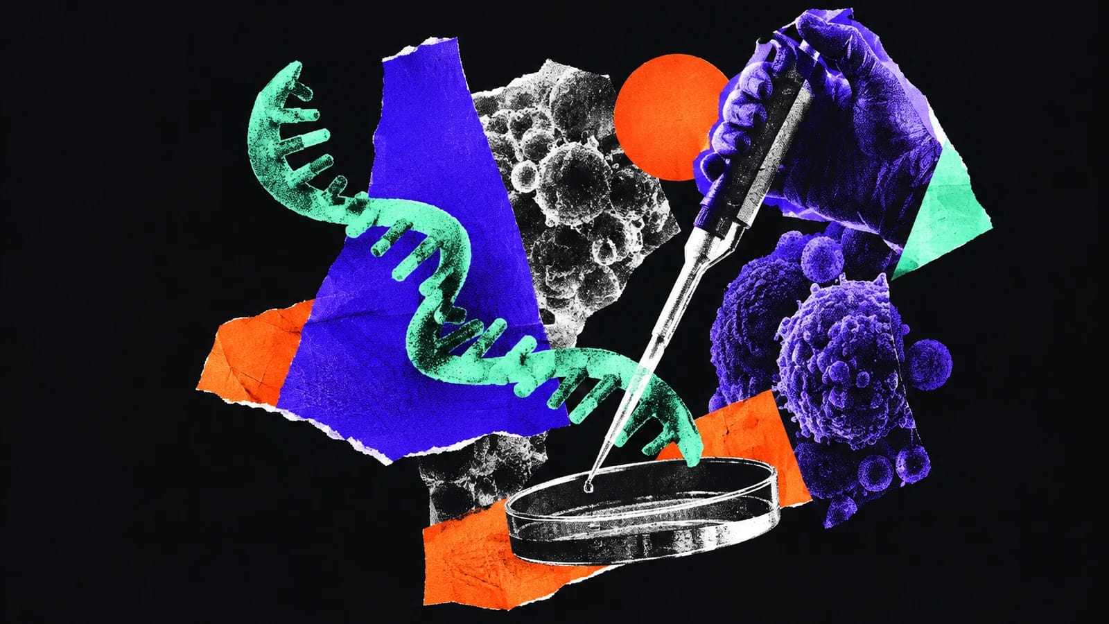 Ilustración editorial para Sensible Biotechnologies