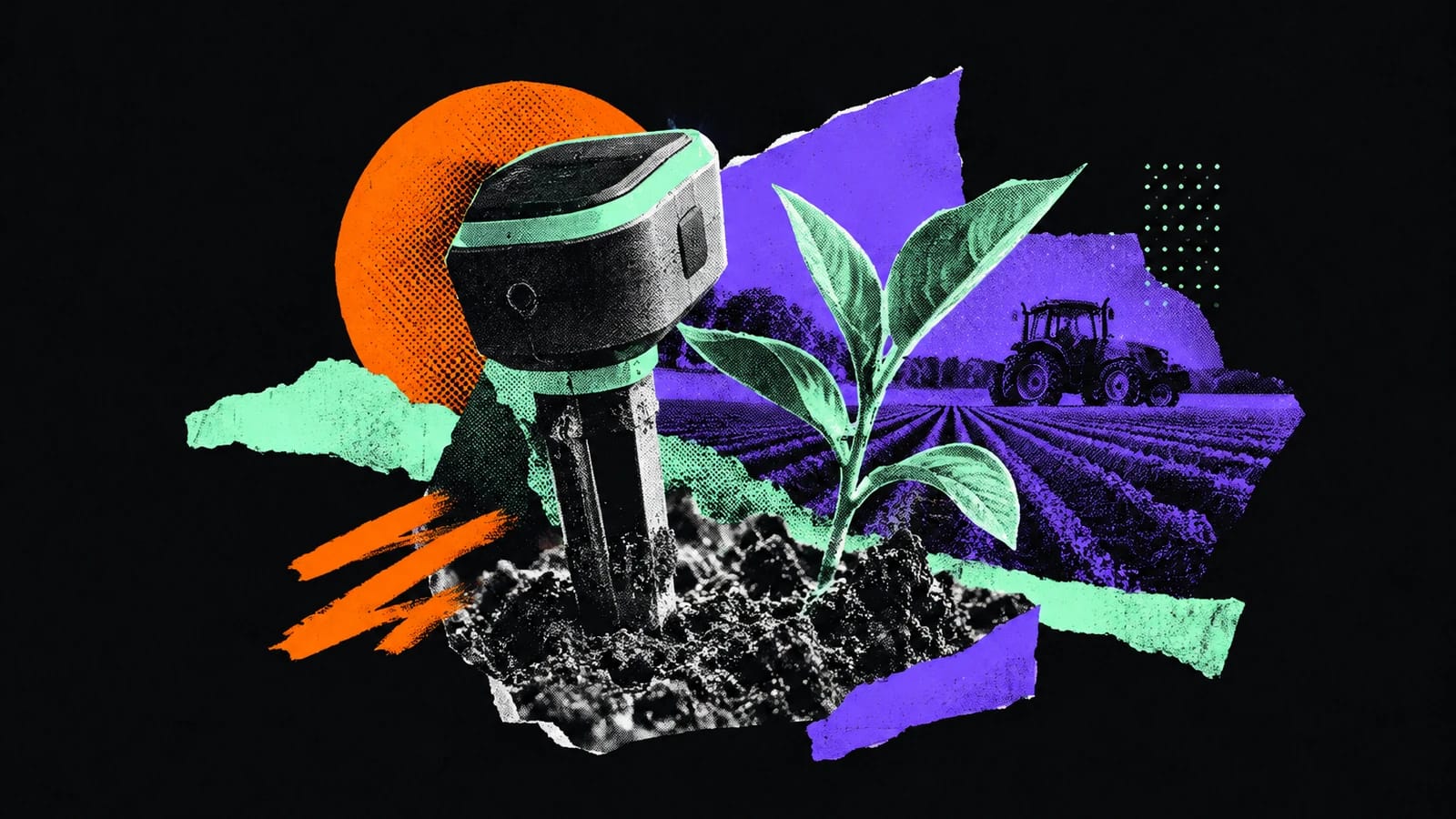 Ilustración editorial para Stenon