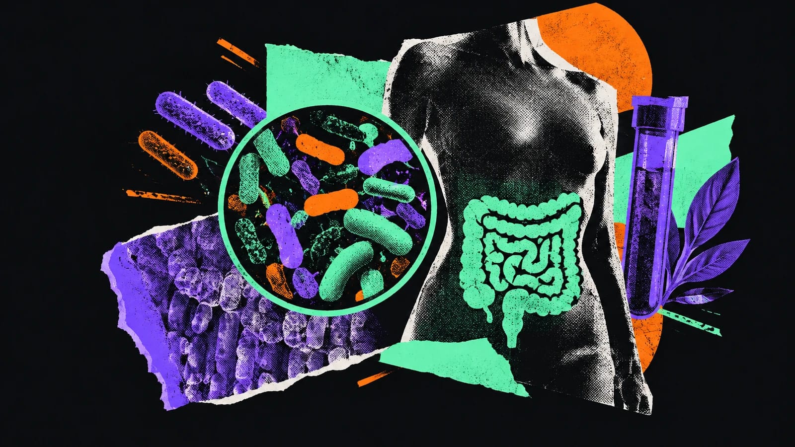 Ilustración editorial para Tiny Health