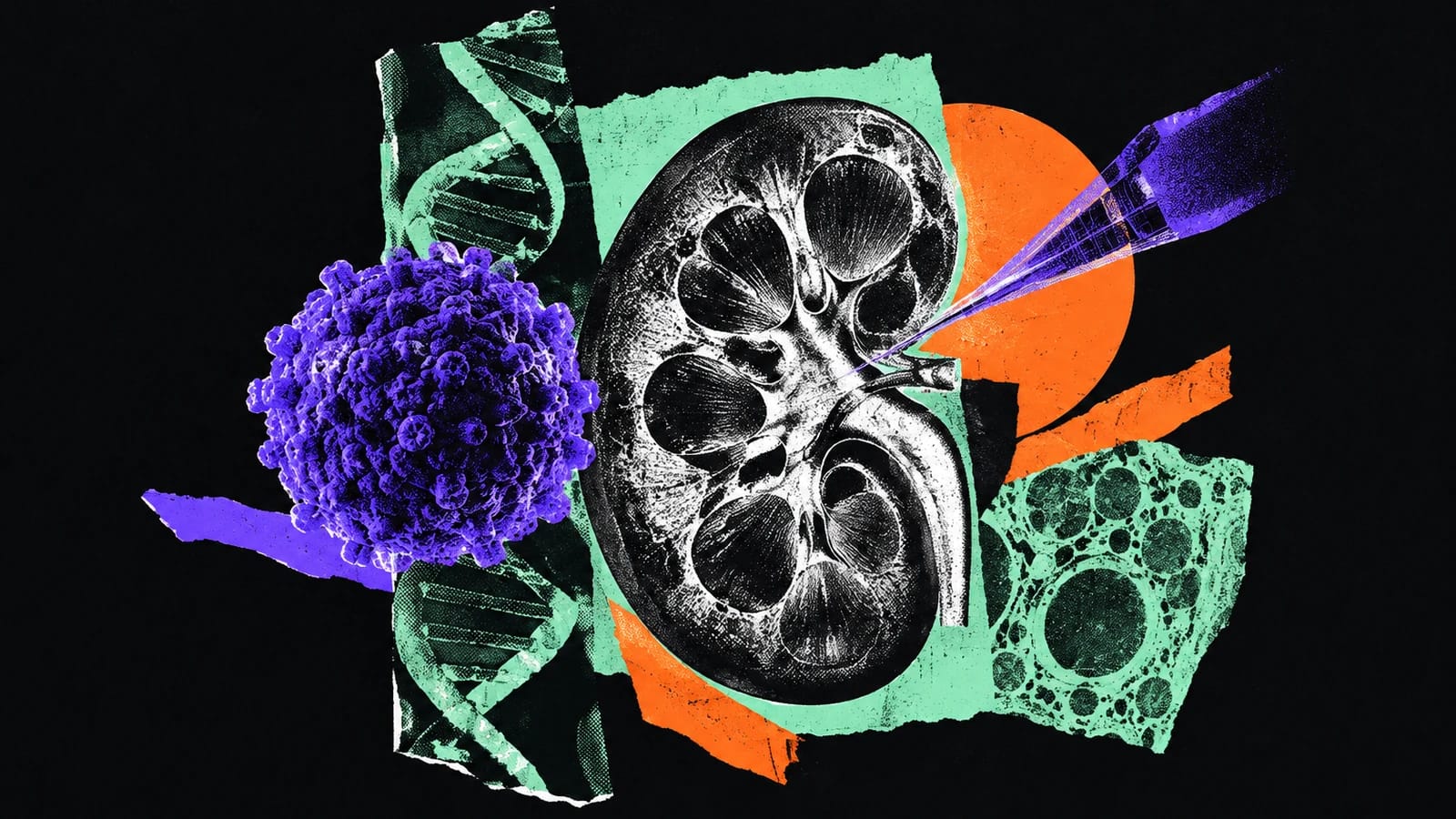 Ilustración editorial para Estuary Biotherapeutics