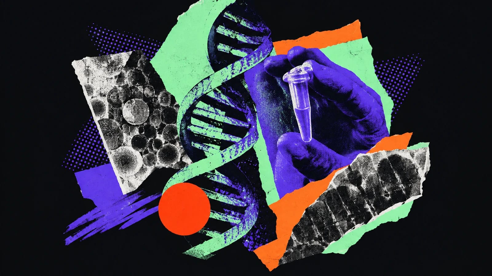 Ilustración editorial para Arboretum LifeSciences