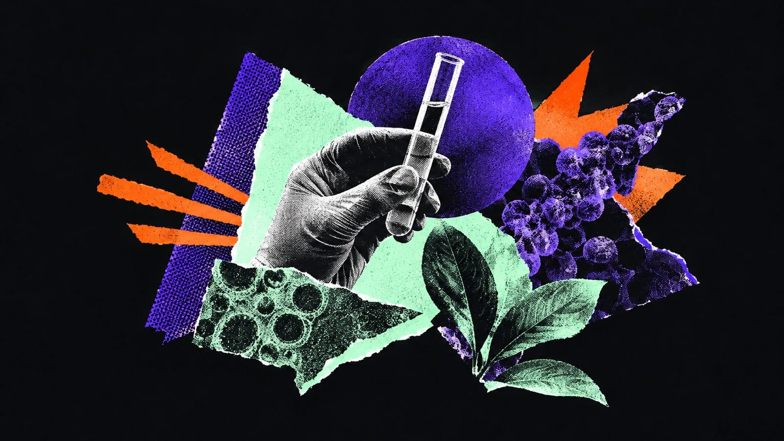 Ilustración editorial para Familiar Therapeutics