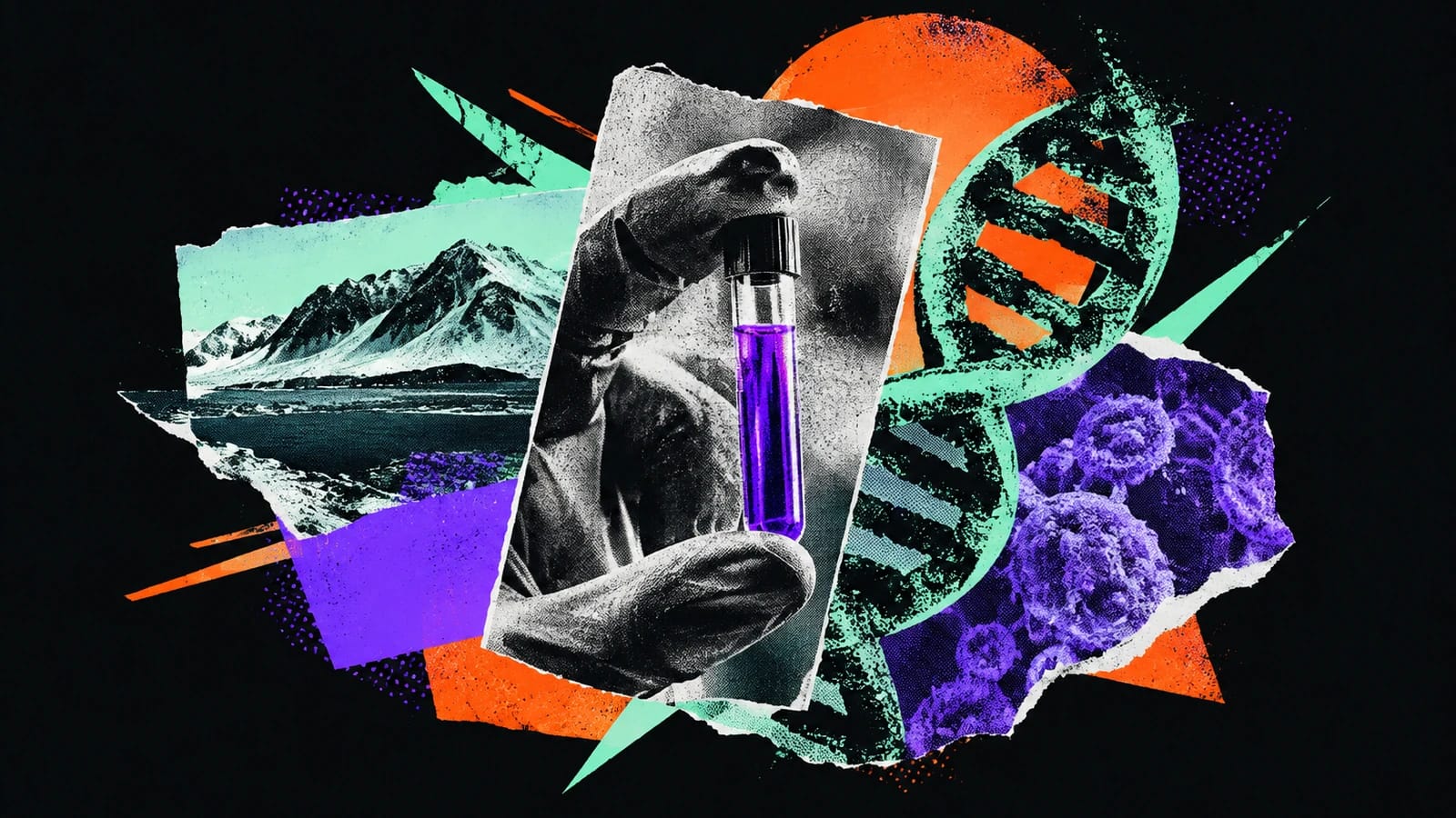 Ilustración editorial para Arctic Therapeutics