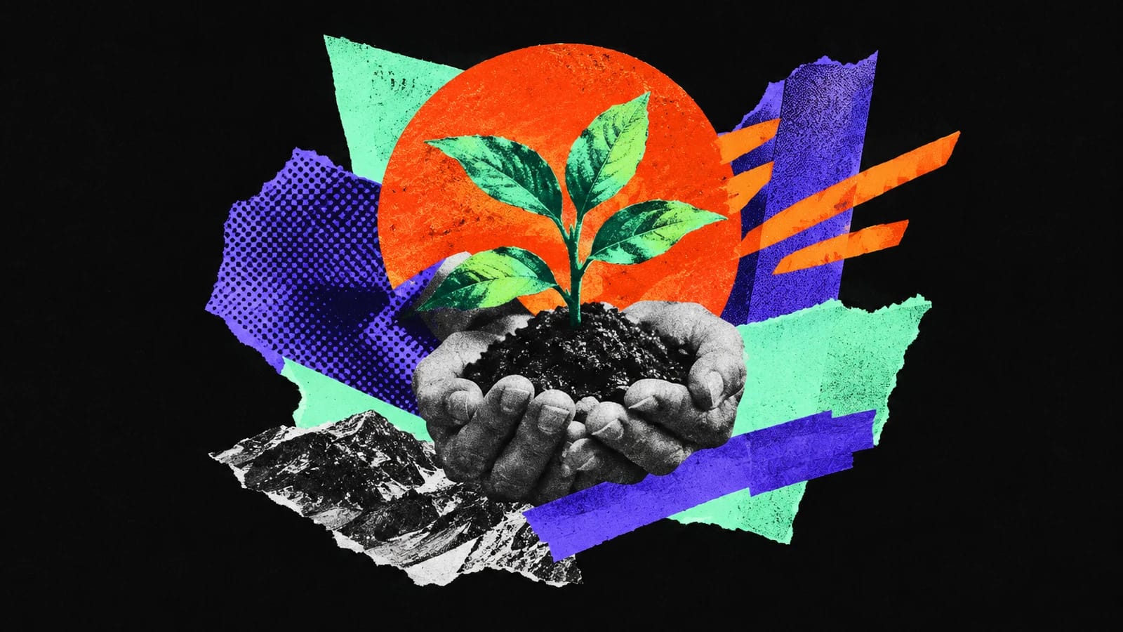 Ilustración editorial para Alive App
