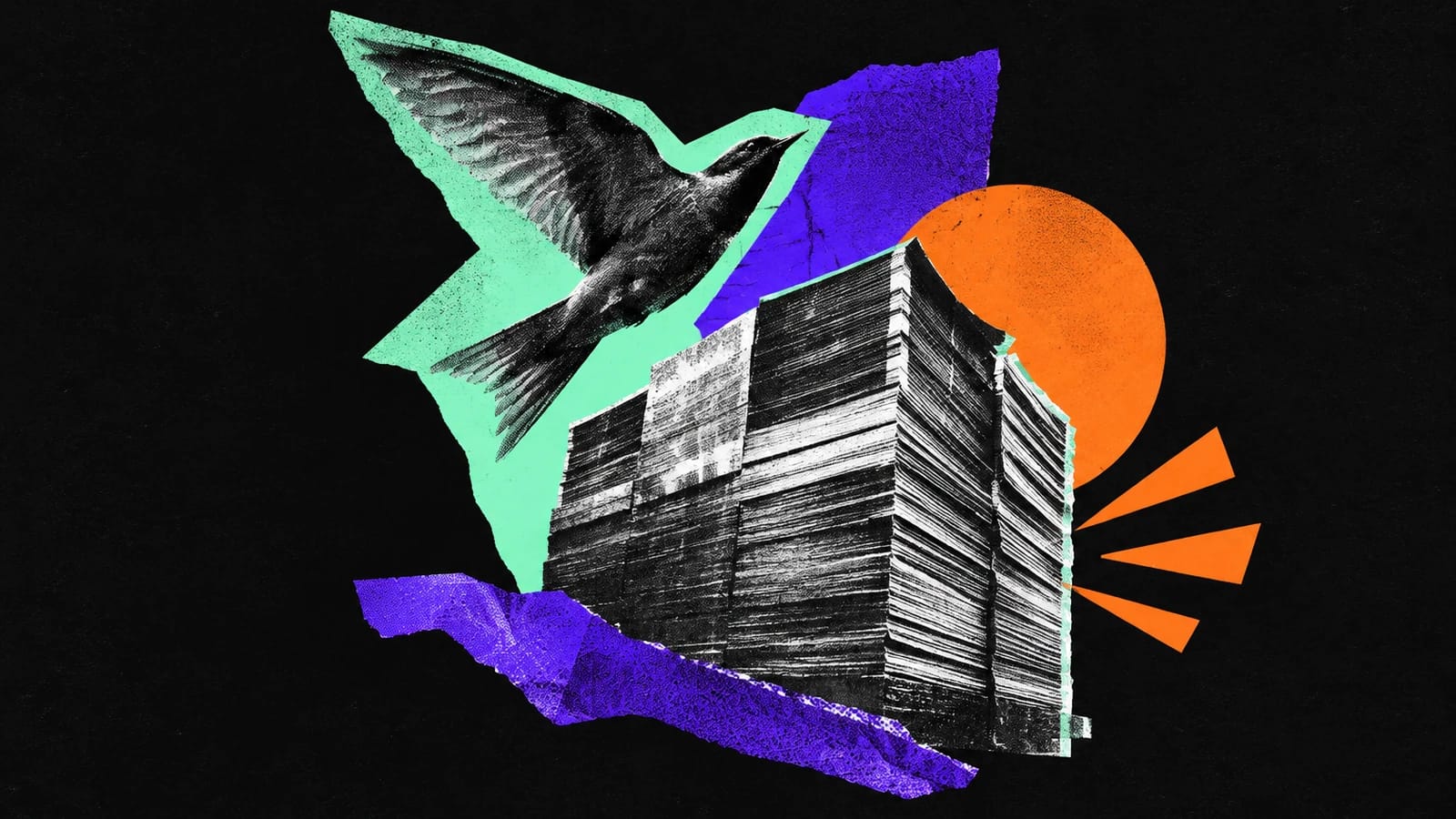 Ilustración editorial para Bird.com