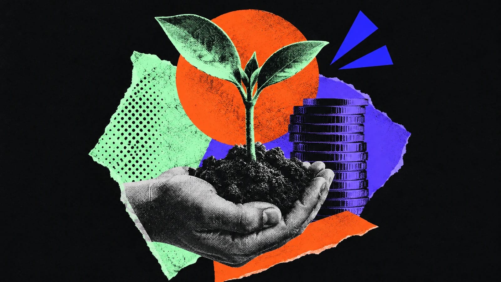 Ilustración editorial para Firi