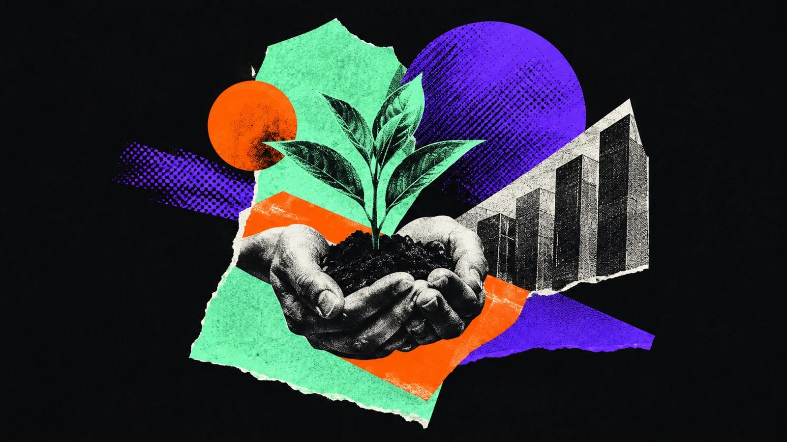 Ilustración editorial para BackOps