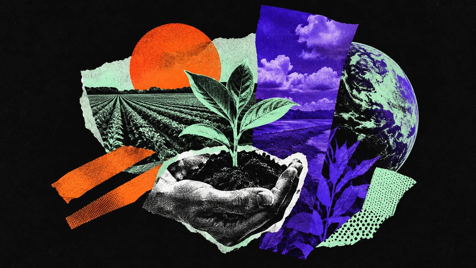 Ilustración editorial para OlsAro