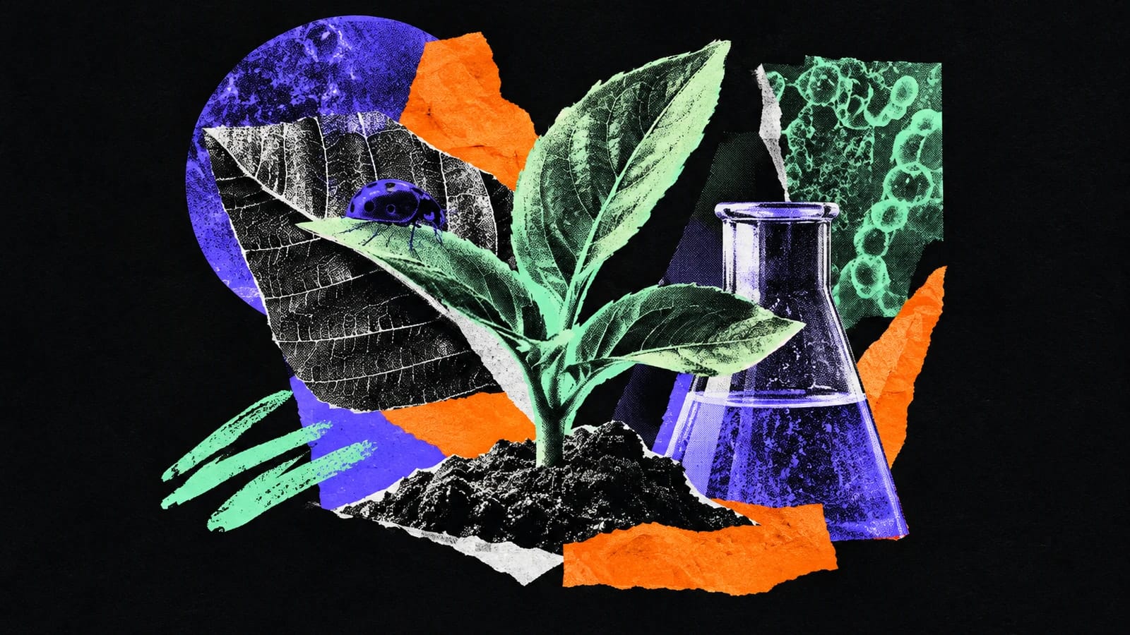Ilustración editorial para Catalera Biosolutions