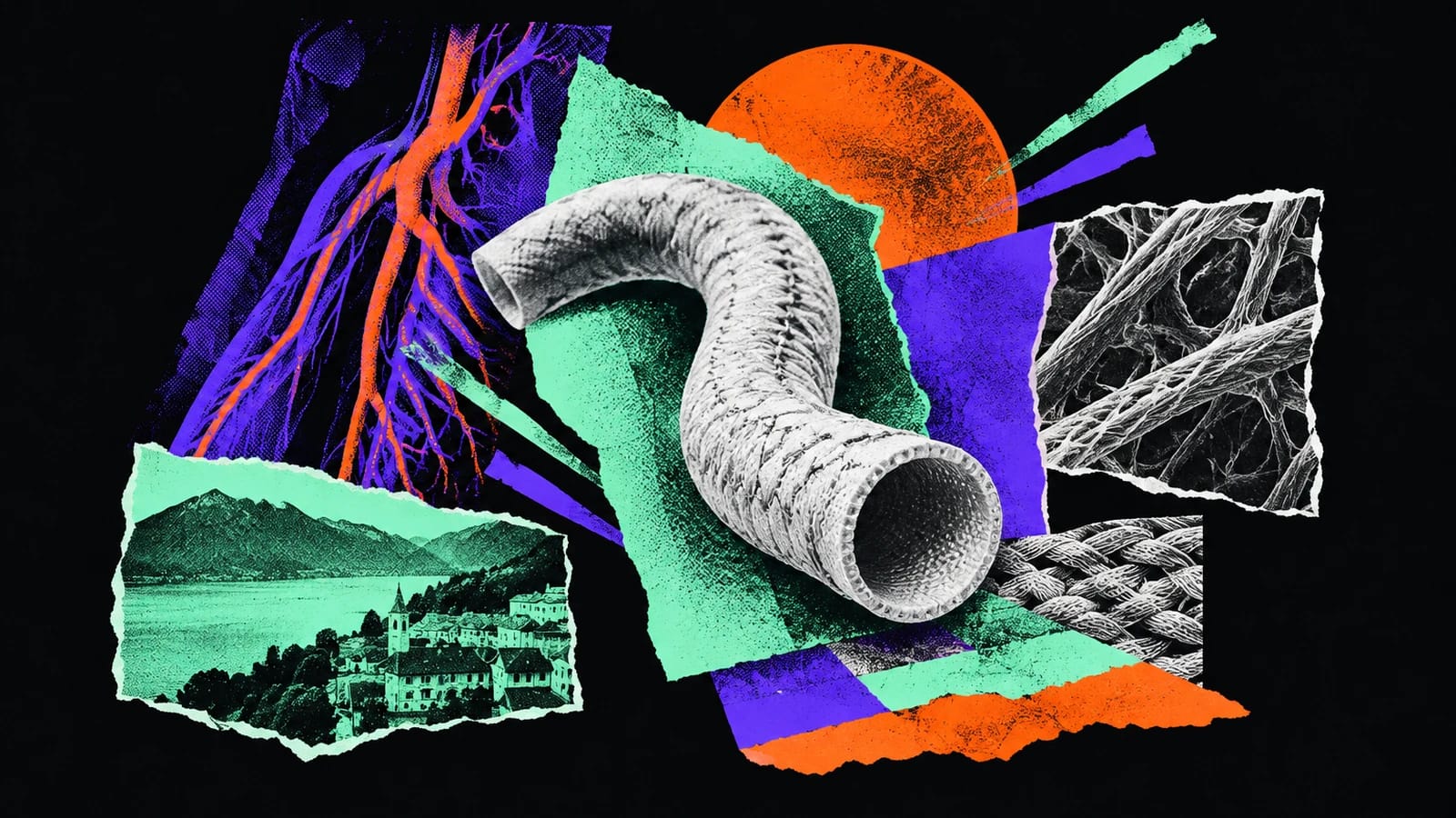Ilustración editorial para Dialybrid
