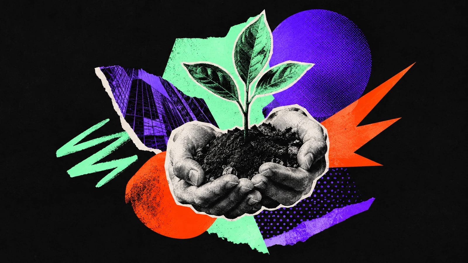 Ilustración editorial para Foundational