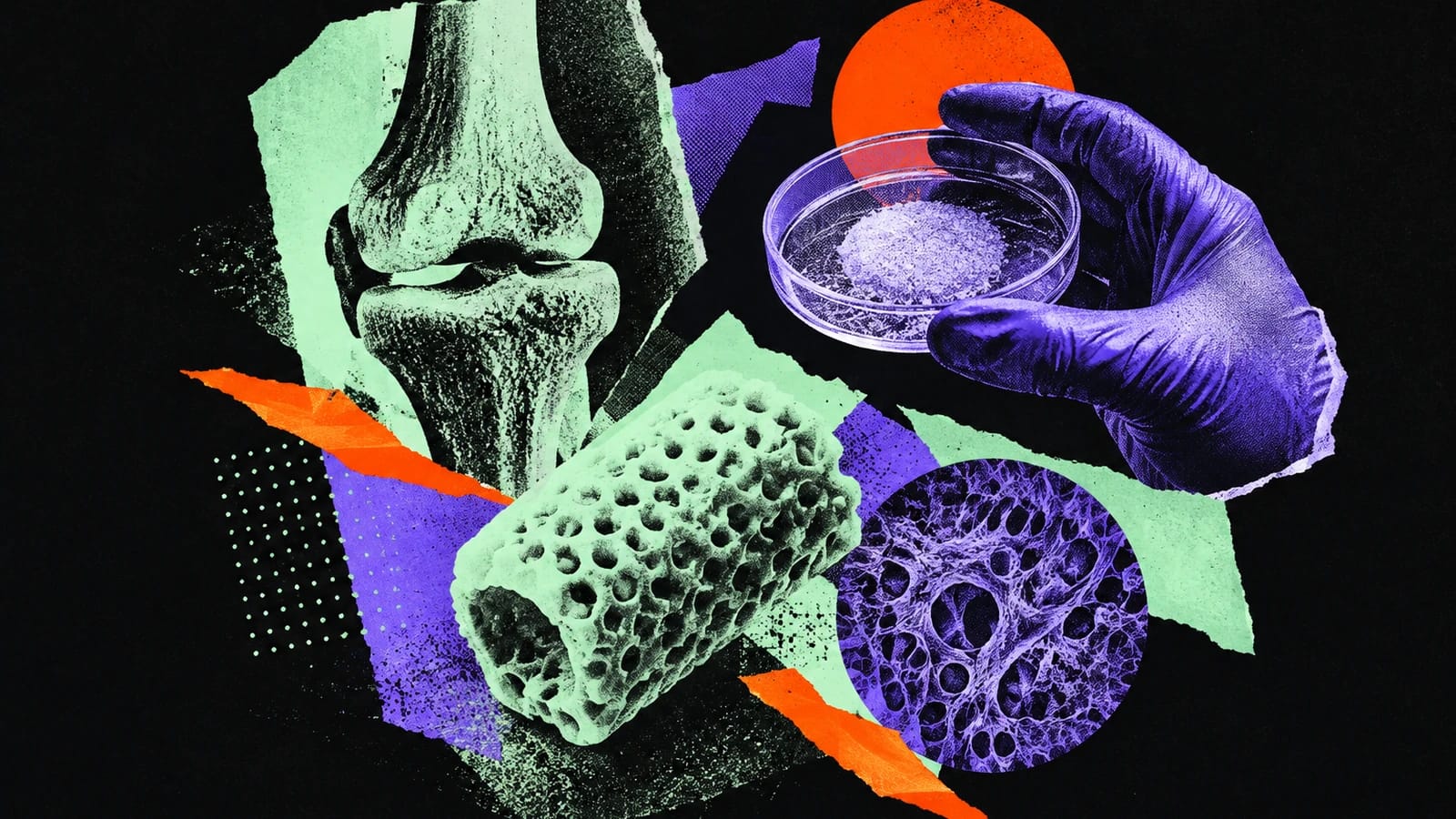 Ilustración editorial para Novadip