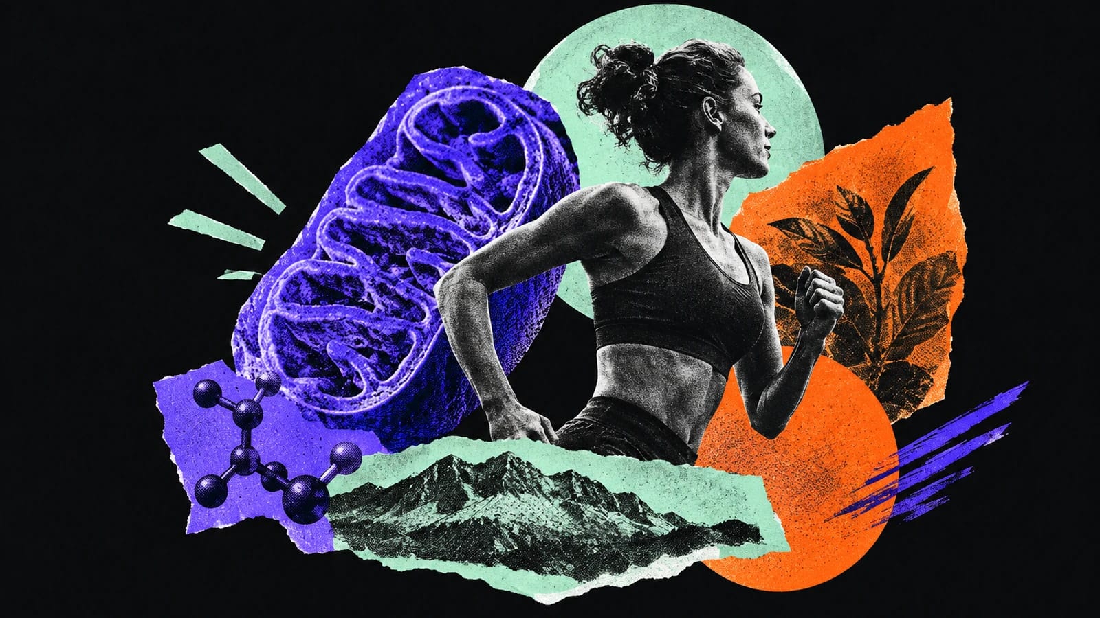 Ilustración editorial para Metabolize