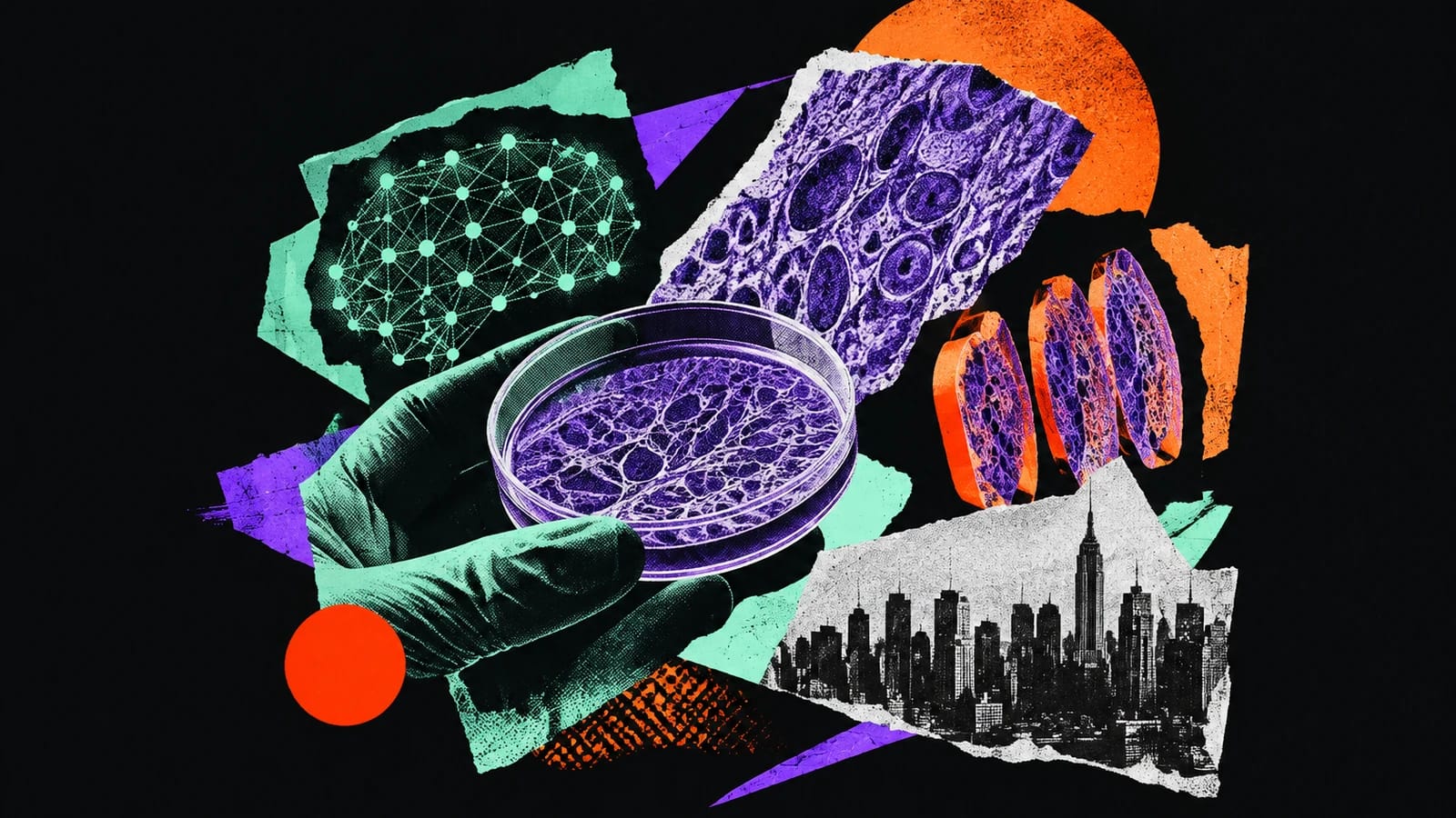 Ilustración editorial para Polyphron