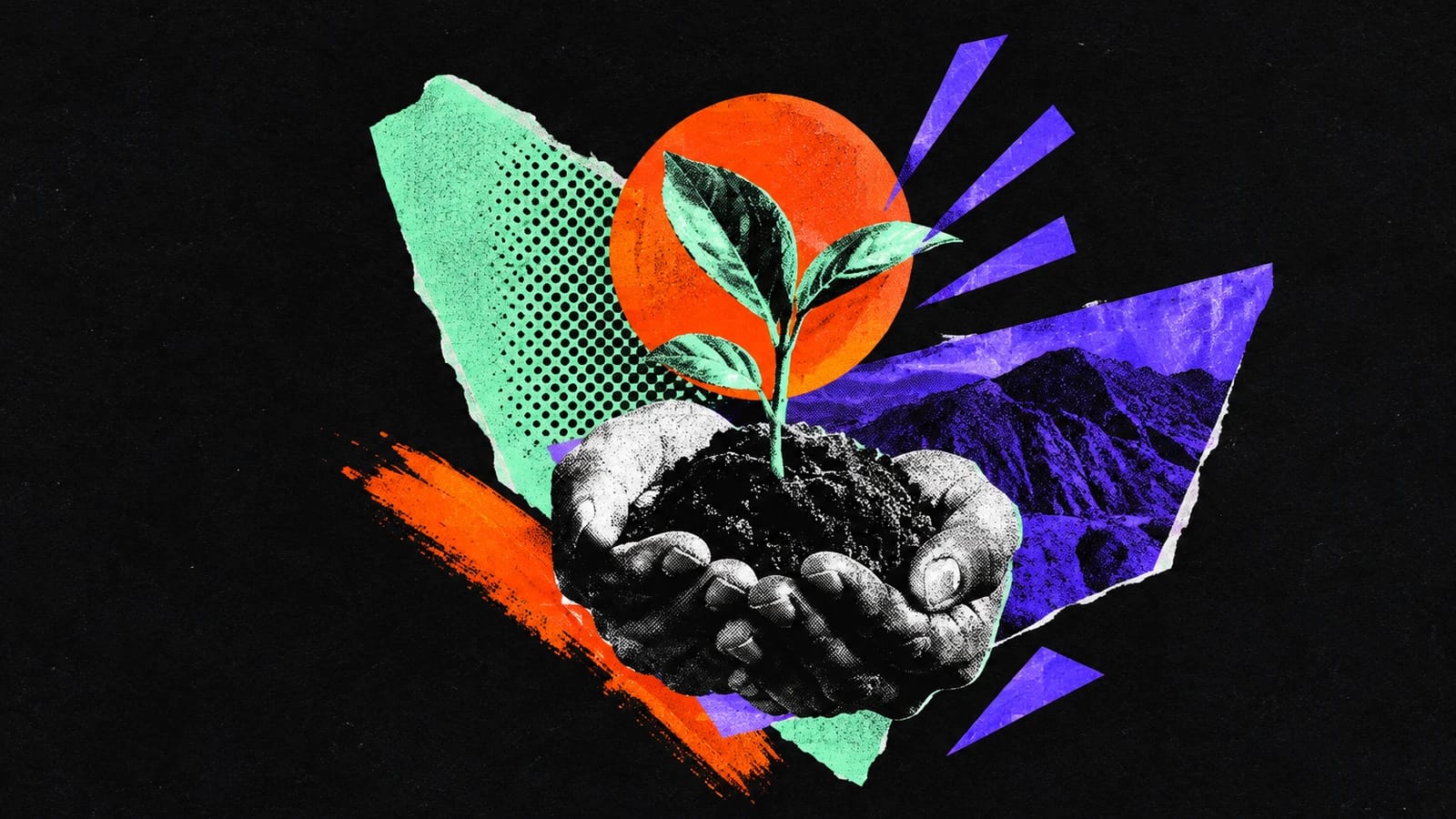 Ilustración editorial para Vantora