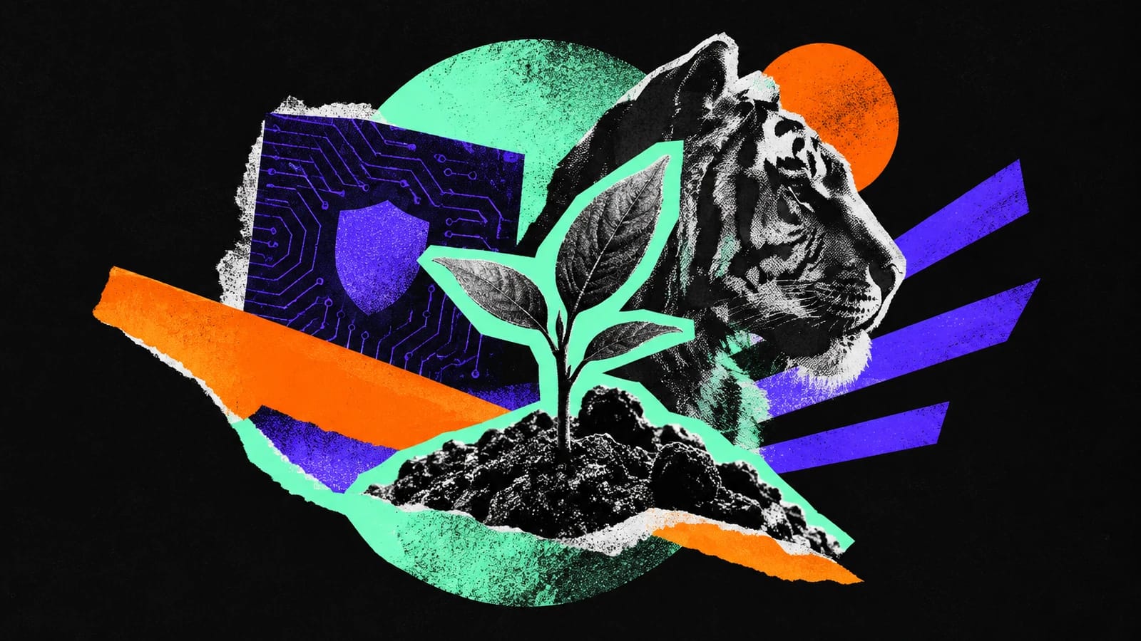 Ilustración editorial para TigerByte Cyber