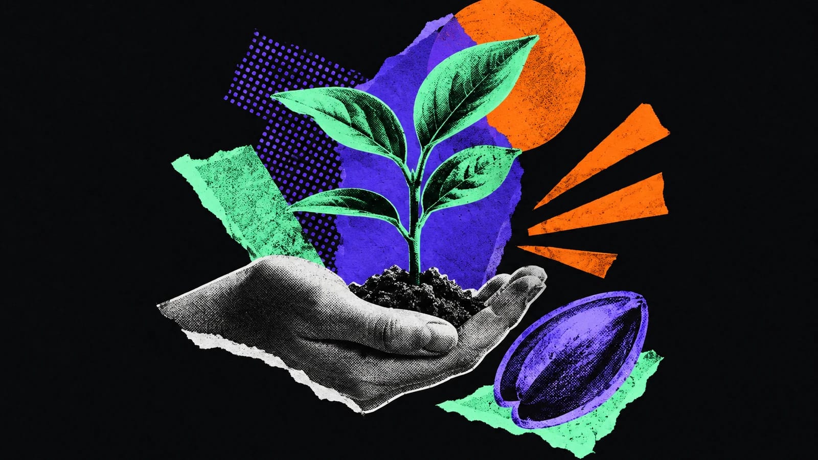 Ilustración editorial para Ambio