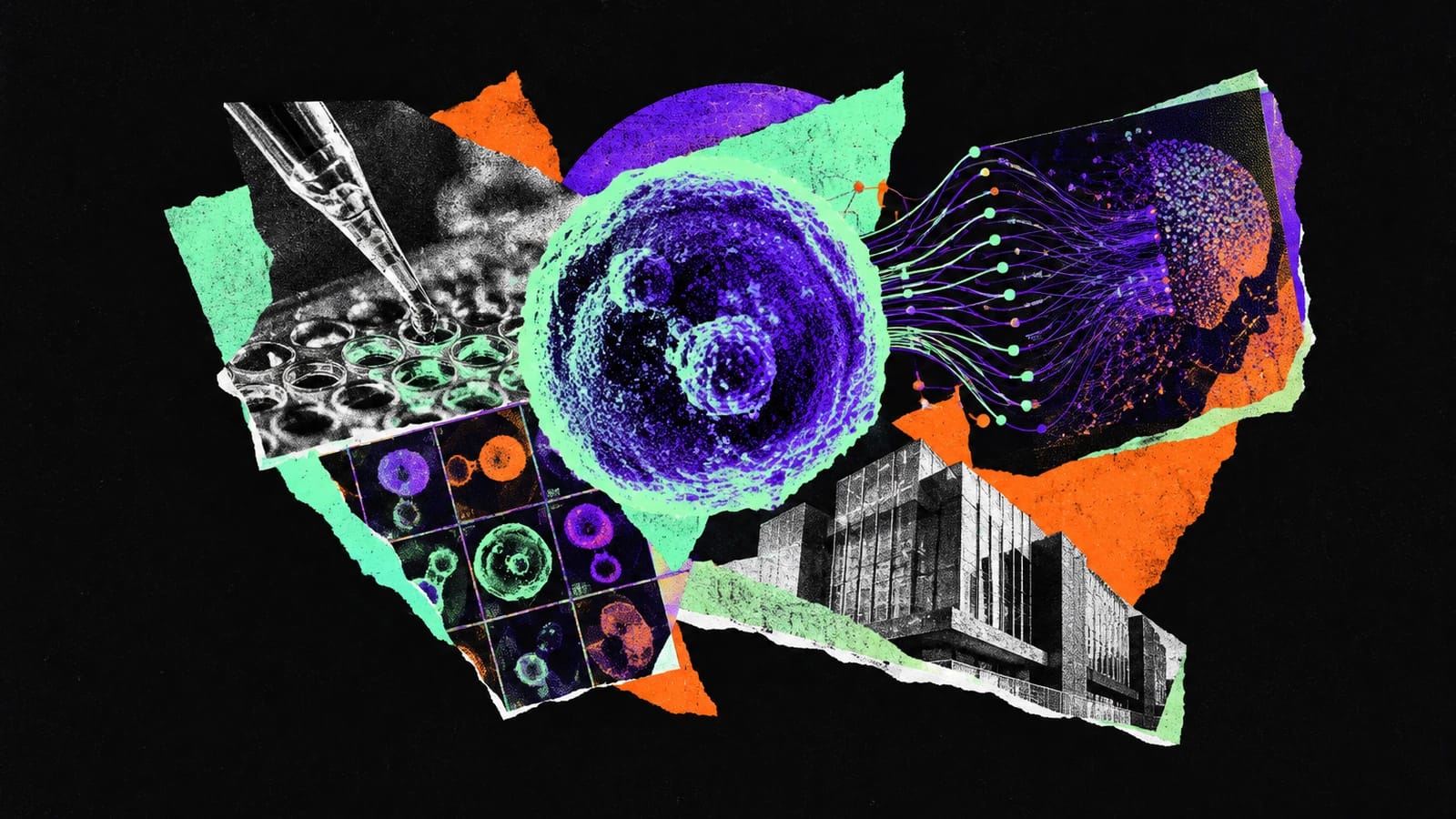Ilustración editorial para Rivercell